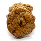 Chocolate Chip Mac Nut Cookies - Wholesale Unlimited Inc.