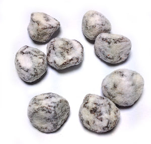 Snow Plum (PROP65) - Wholesale Unlimited Inc.