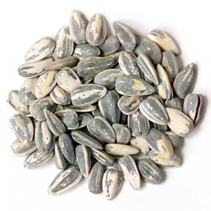 Sunflower Seeds - Wholesale Unlimited Inc.